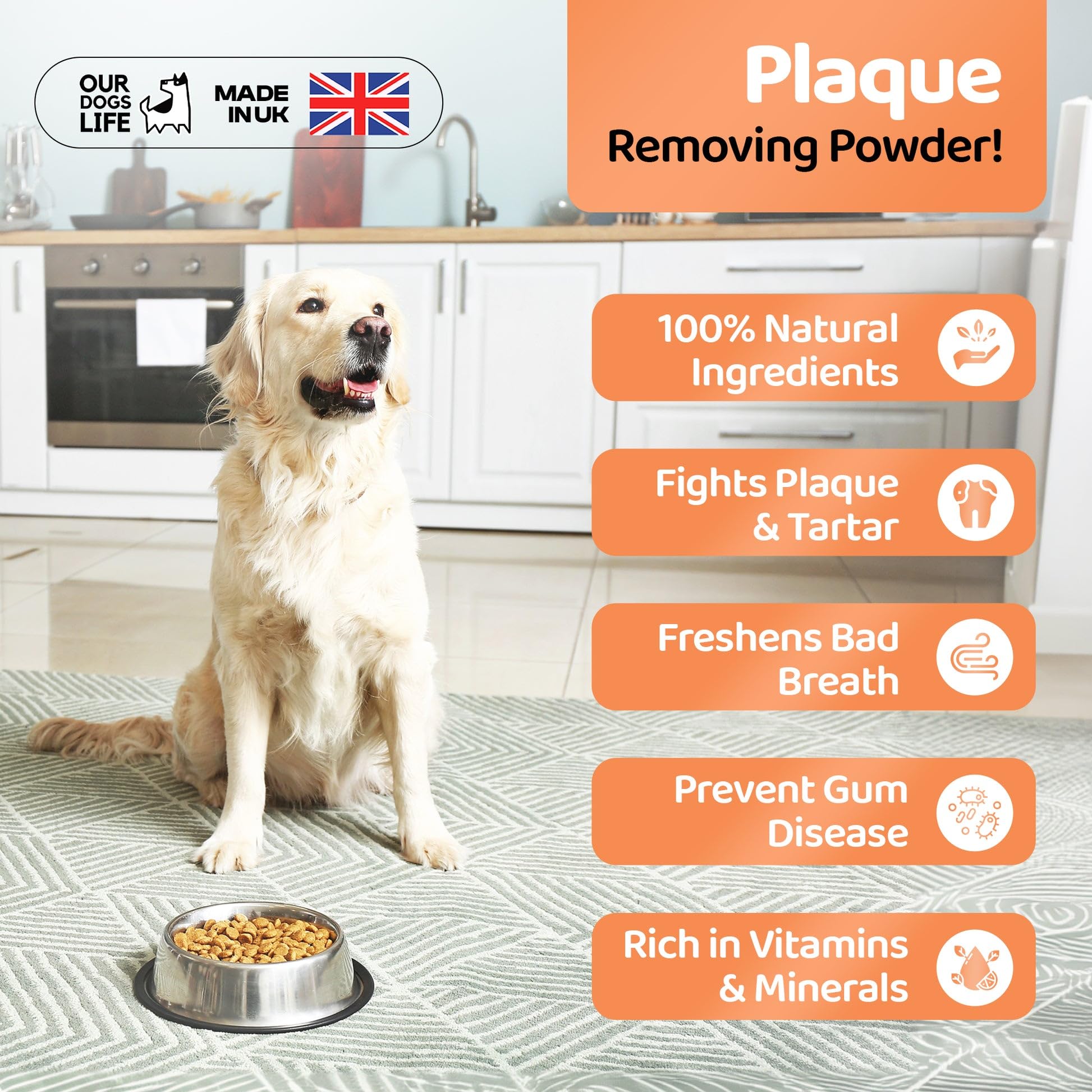 DogsLife Plaque Off Powder for Dogs - 200g, White - Image 4