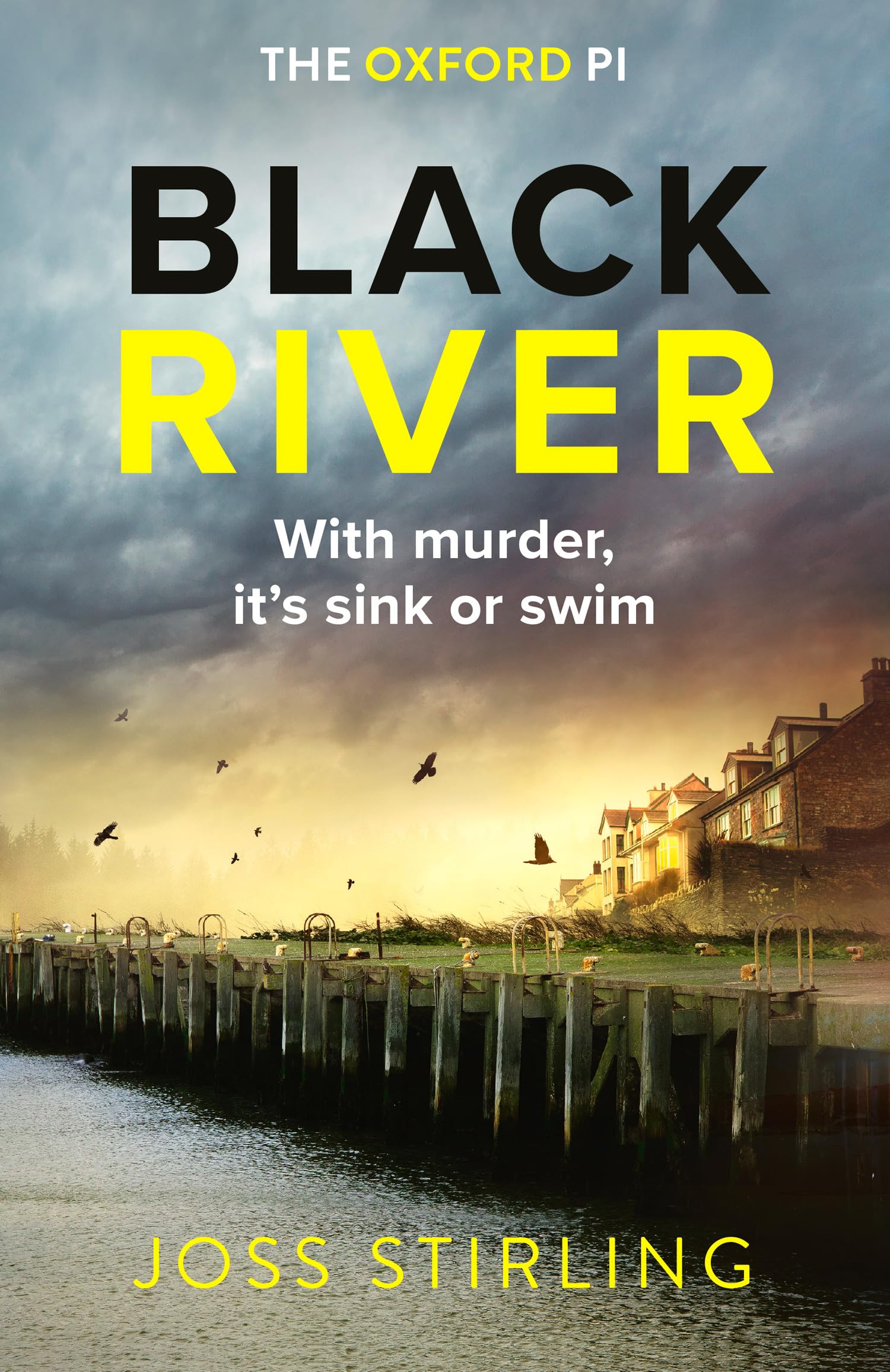 A Jess Bridges Mystery (1) — BLACK RIVER [not-US]: An absolutely gripping new crime thriller filled with shocking twists you won’t see coming: Book 1 (The Oxford PI series)