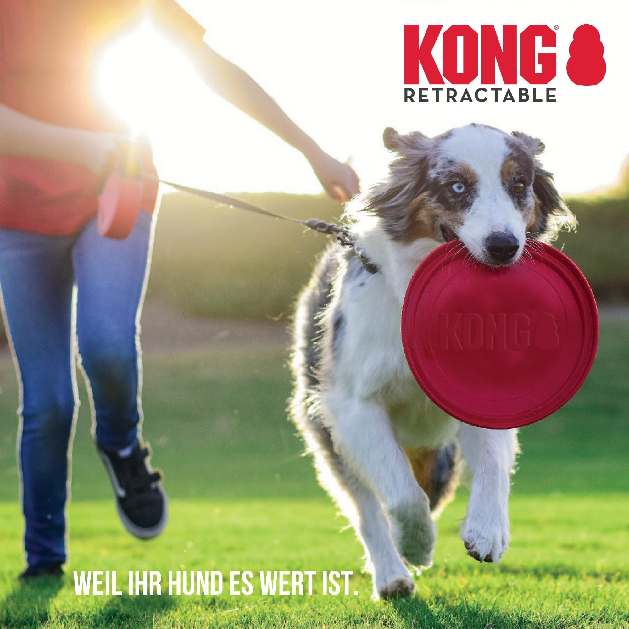 KONG Retractable Terrain Dog Leash for Small Dogs Upto 20kgs, Durable, Reflective, Tangle-Free, Safety Lock, Ergonomic Soft Grip Handle for Pet Hiking, Walks, Training, Red, Small - 16ft/5m 4