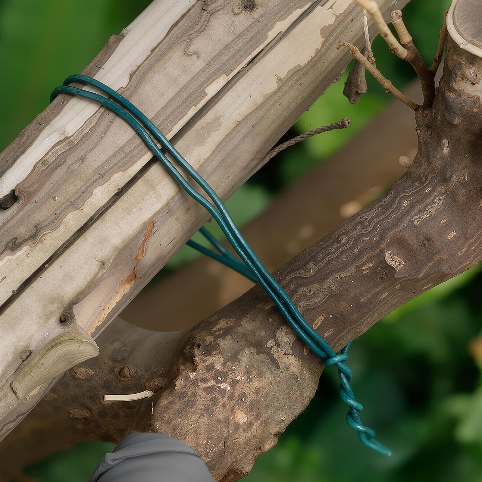 KINGLAKE 15m Green Garden Wire 3mm Plastic Coated Twist Plant Training Wire for Climbing Plants Support Fence Trellis - Image 4