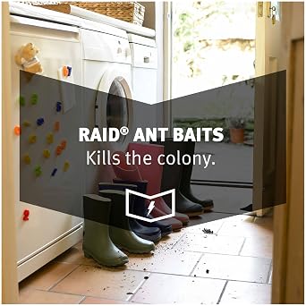 Raid Ant Baits Iii, 4.0 Count