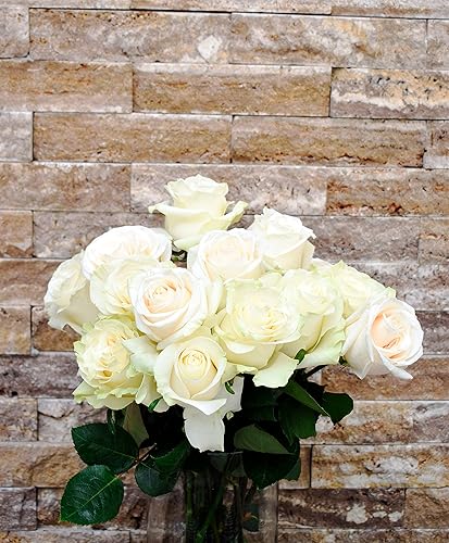 Miniatura 10 de Greenchoice Flowers - Rosas