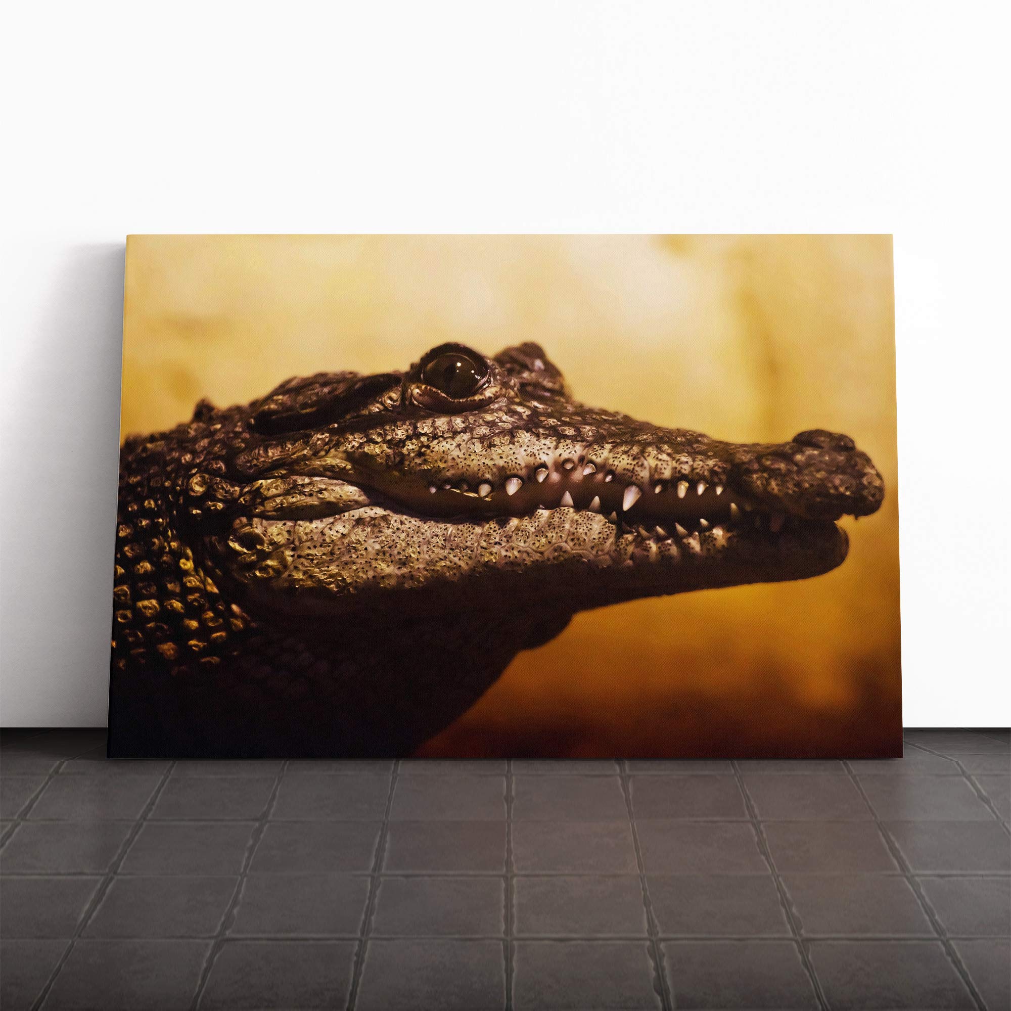 Alligator Canvas Print | Gallery Wrapped 30mm Frame Wall Art | 24x16 inches | Ready to Hang | Modern Picture | Living Room Bedroom Lounge Office