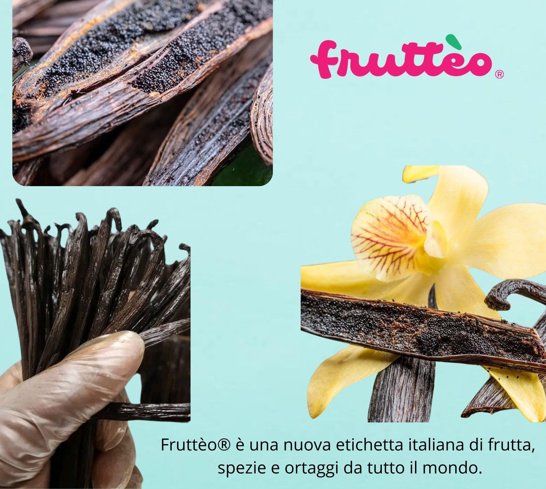 Frutteo - Bacche di Vaniglia Bourbon del Madagascar 18 cm Annata 2025, Premium Grado AAAA Alta Qualità per Uso Professionale, Aroma Intenso, Ideale per Dolci, Gelati e Ricette Gourmet (125 grammi)