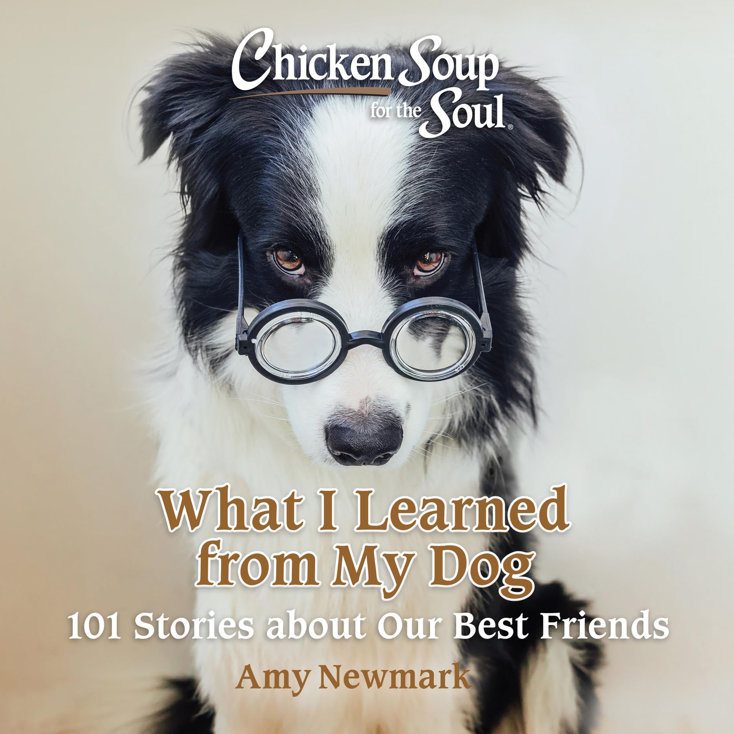 Cover art for Chicken Soup for the Soul: What I Learned from My Dog