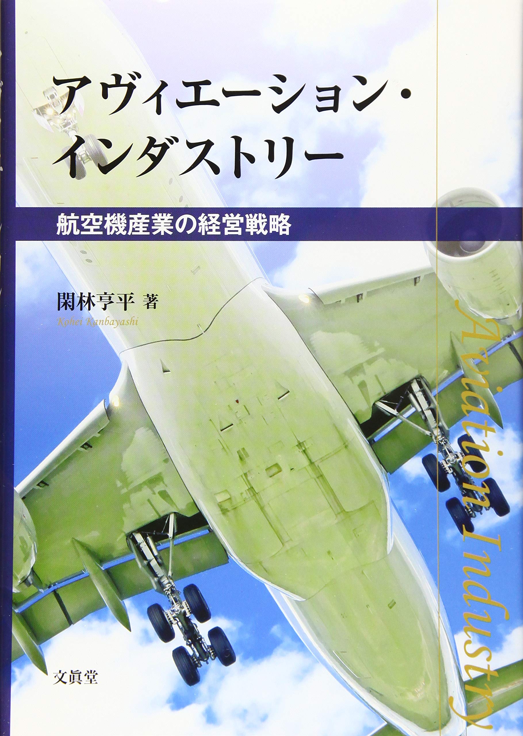 Amazon.co.jp: アヴィエーション・インダストリー : 閑林 亨平: 本