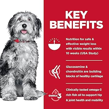 hill's science diet perfect weight dog