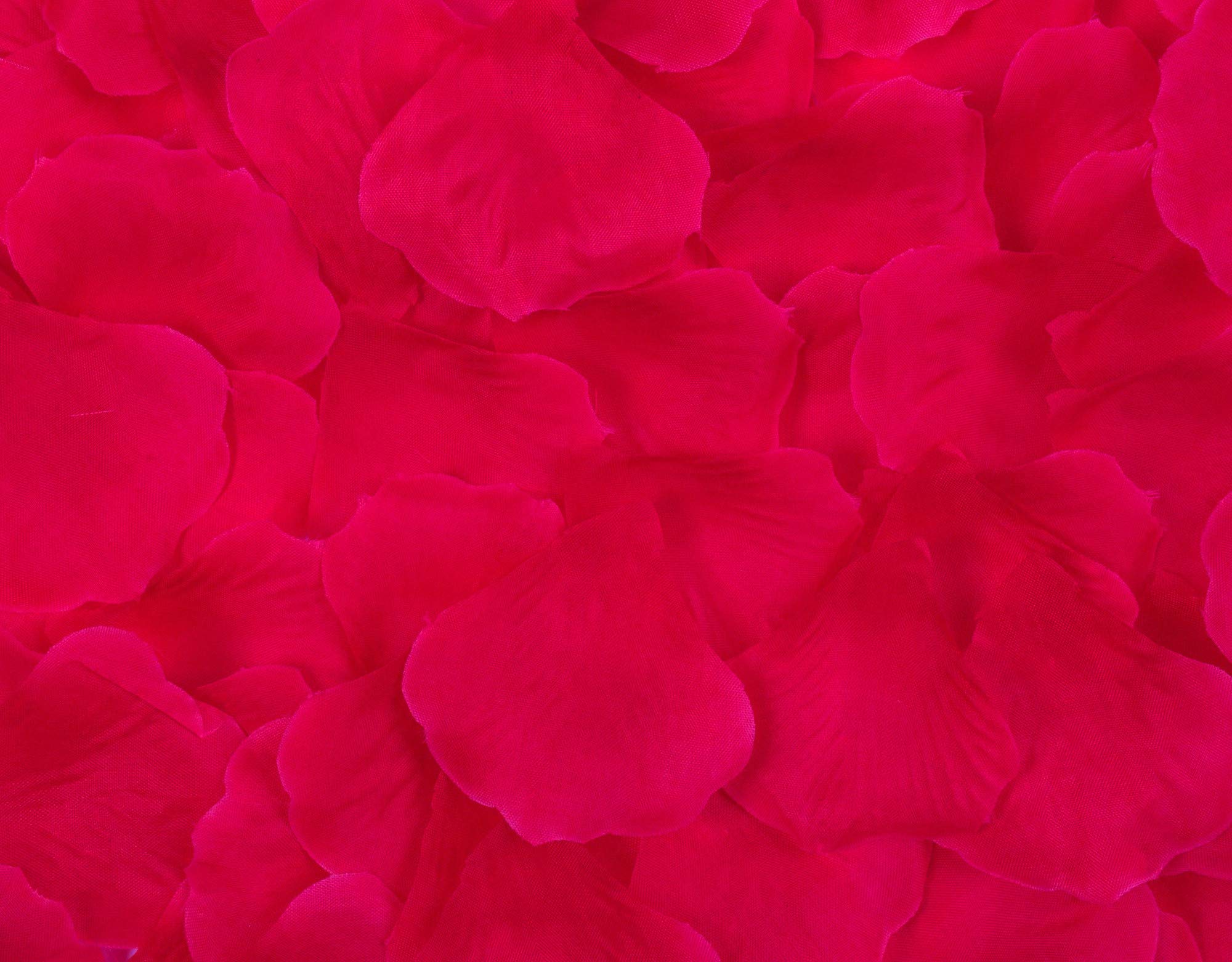 Best Artificial Silk Rose Petals Flower Confetti Wedding Bridal Valentine Arrangement Engagement Party Decoration (Fuchsia, 1000)