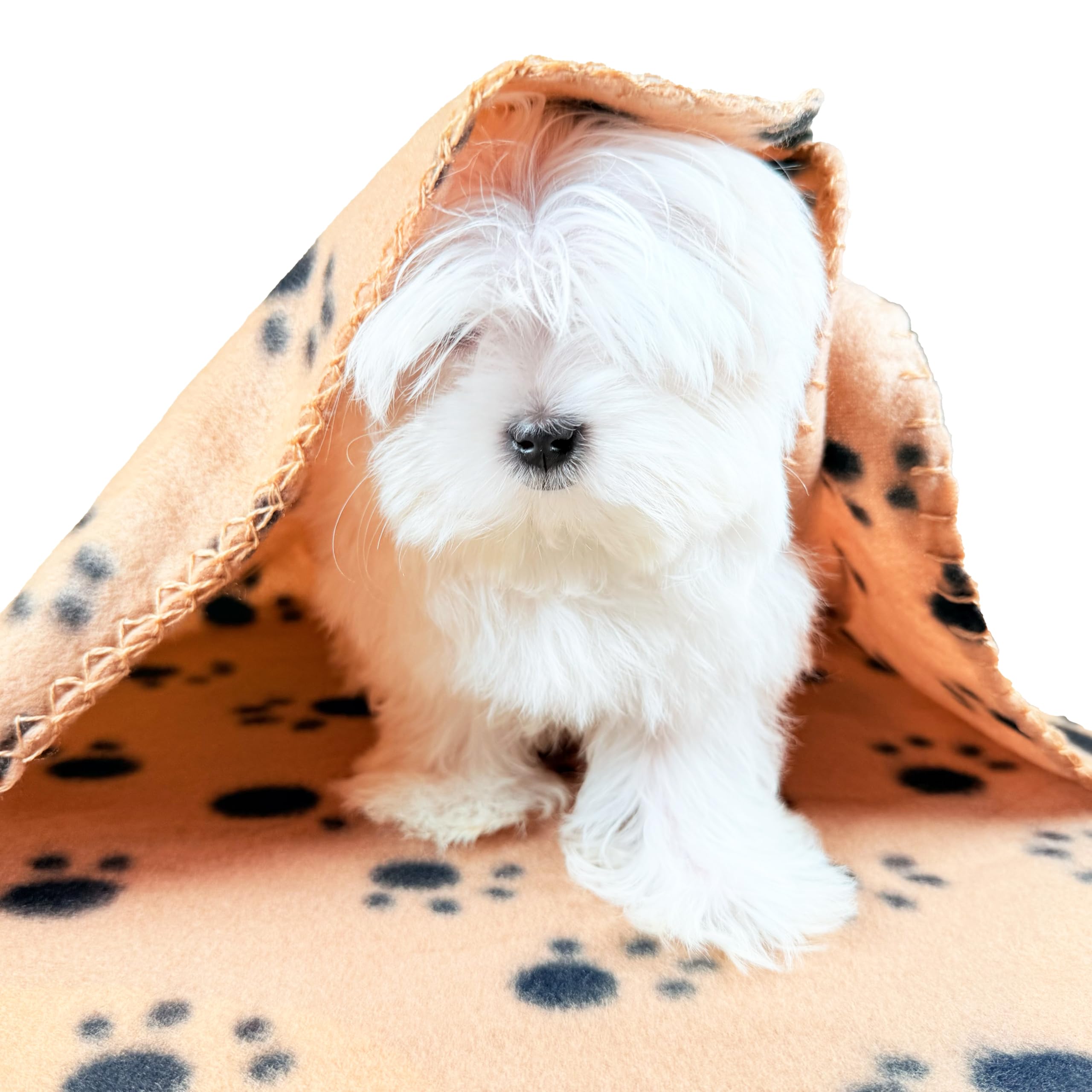 TBK Pets Double-Sided Fleece Pet Blanket, Soft Snuggle Blanket for Dogs and Cats Machine Washable (1 Brown, 28x24/70x60cm) - Image 3