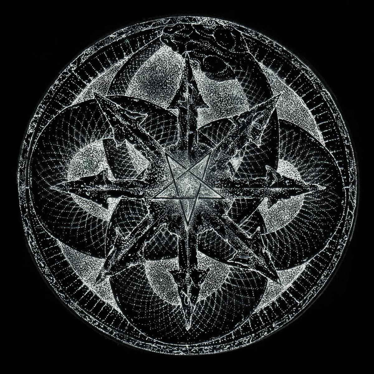 I Am The Void (2lp) [VINYL]