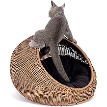 Mushuk uylari Mushuk uylari