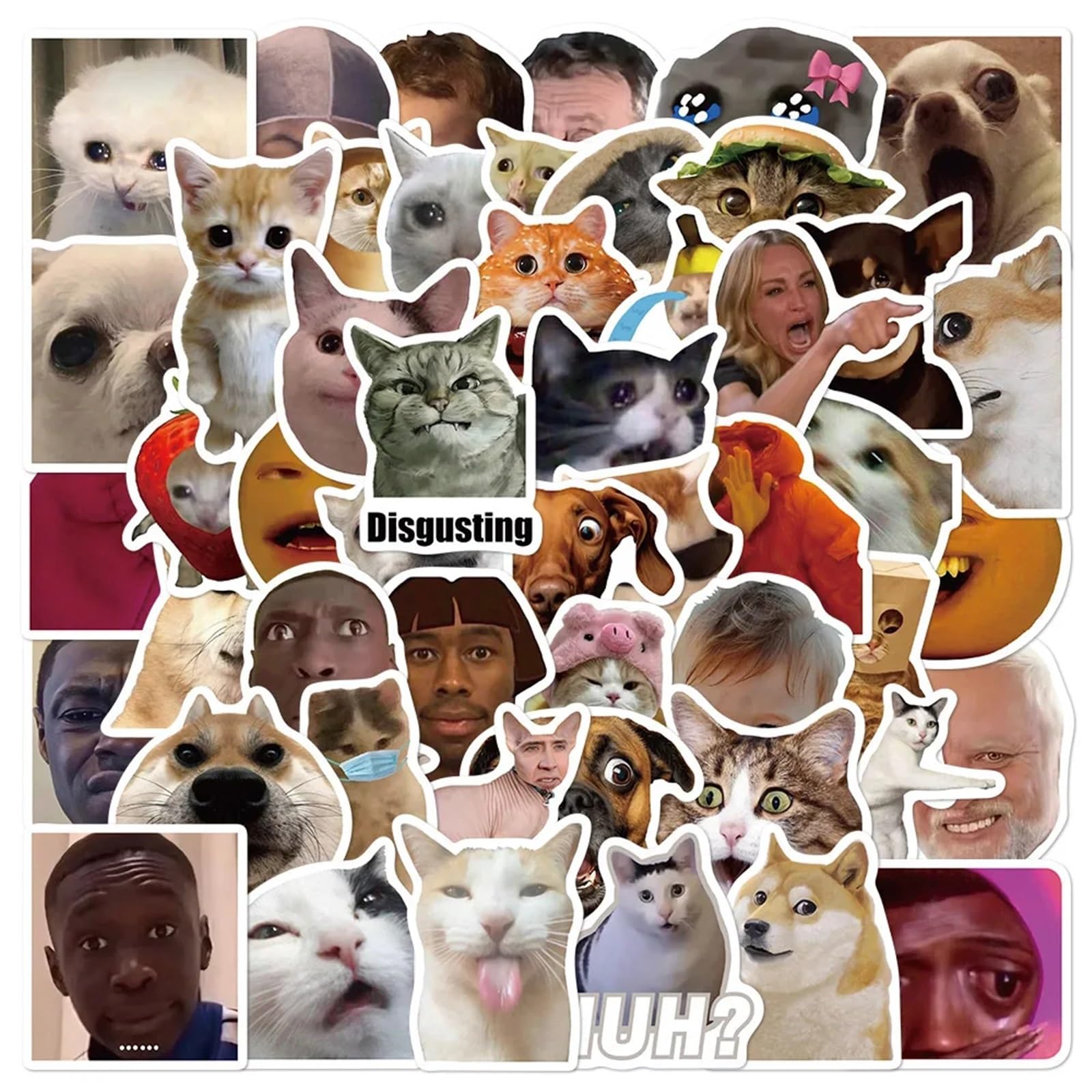 50Pcs Kawaii Cat Dog Funny Animal Meme Graffiti Stickers DIY Laptop Motorcycle Travel Luggage Water Resistant Sticker Children Toys