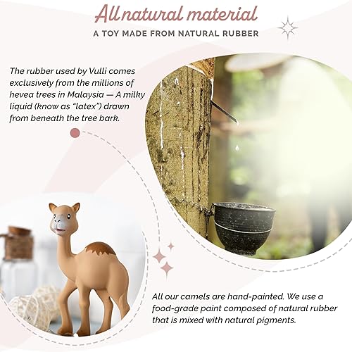 Miniatura 3 de Sophie la girafe Al'Thir The Camel  Mordedor amigo a Sophie la girafe  Caucho natural  Diseñado para bebés de dentición  Despierta los 5 sentidos