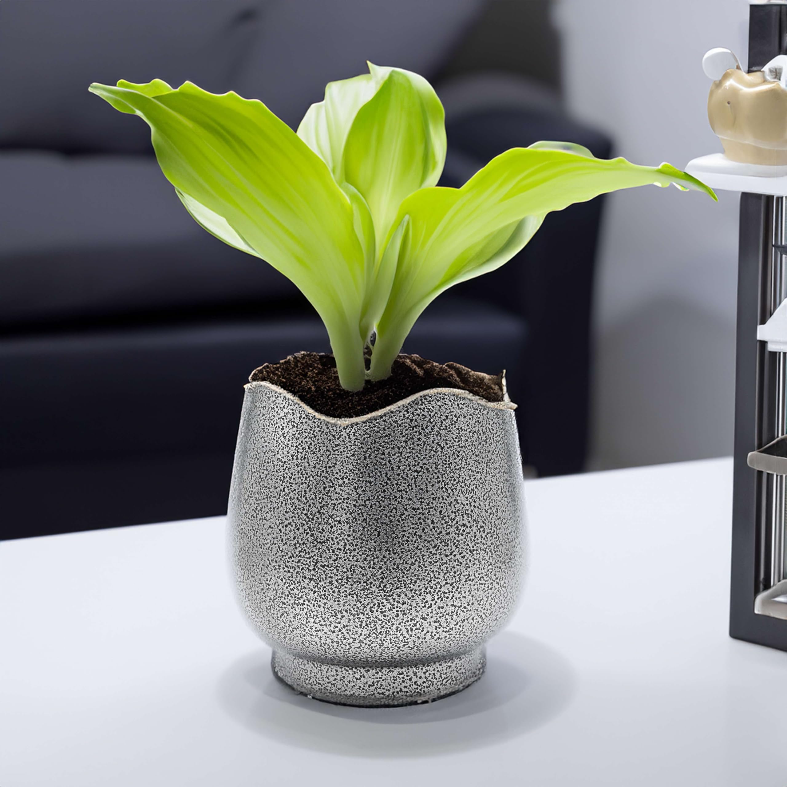 See full amazon price history chart for GIFTED GARDEN Gold Metal Pots for Indoor Plants with Drainage Hole | Designer Flower Pot & Planters for Home Décor, Living Room, Kitchen, Bedroom, Table Top, Office, Gifting (1 Pack) GIFTED GARDEN Gold Metal Pots for Indoor Plants with Drainage Hole | Designer Flower Pot & Planters for Home Décor, Living Room, Kitchen, Bedroom, Table Top, Office, Gifting (1 Pack) (B0D6BRXZRC) Amazon Price History, Amazon Price Tracker