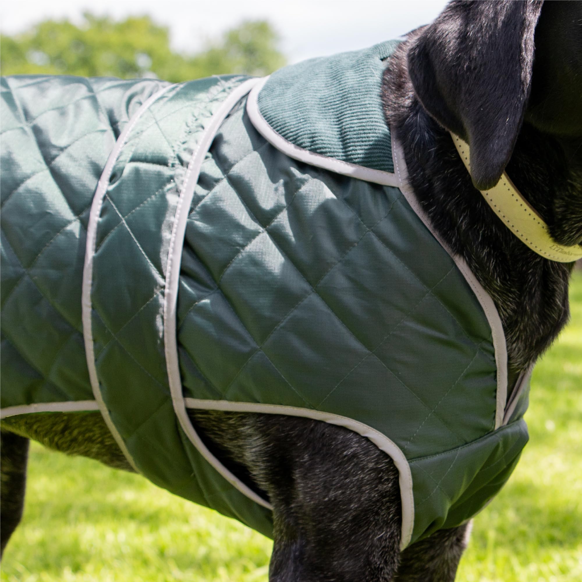 Ancol Heritage Quilted Dog Coat in Green, Waterproof Fleece Lined Pet Jacket with Zipped Harness Hole - Image 4