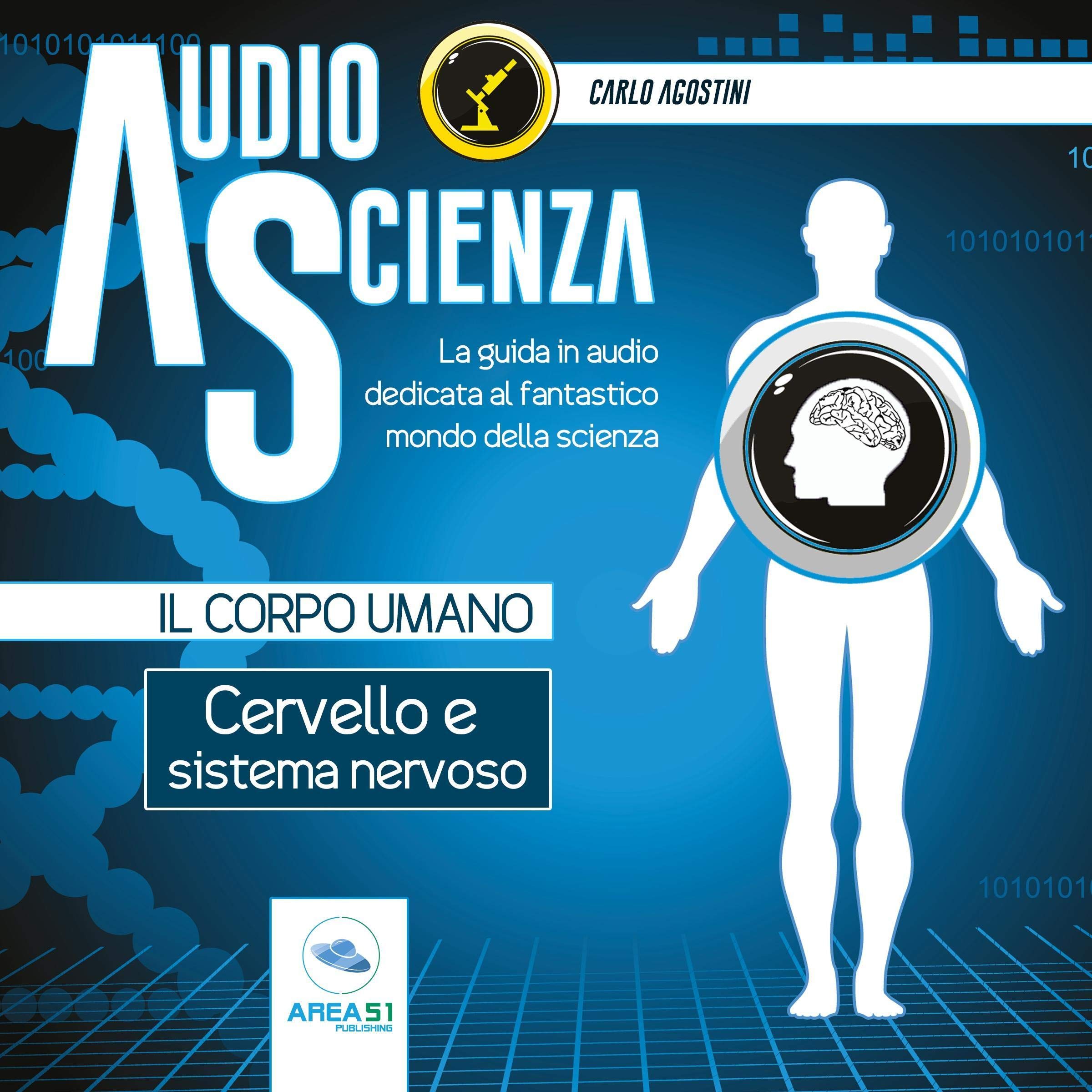 Cervello e sistema nervoso: Audioscienza. Il corpo umano