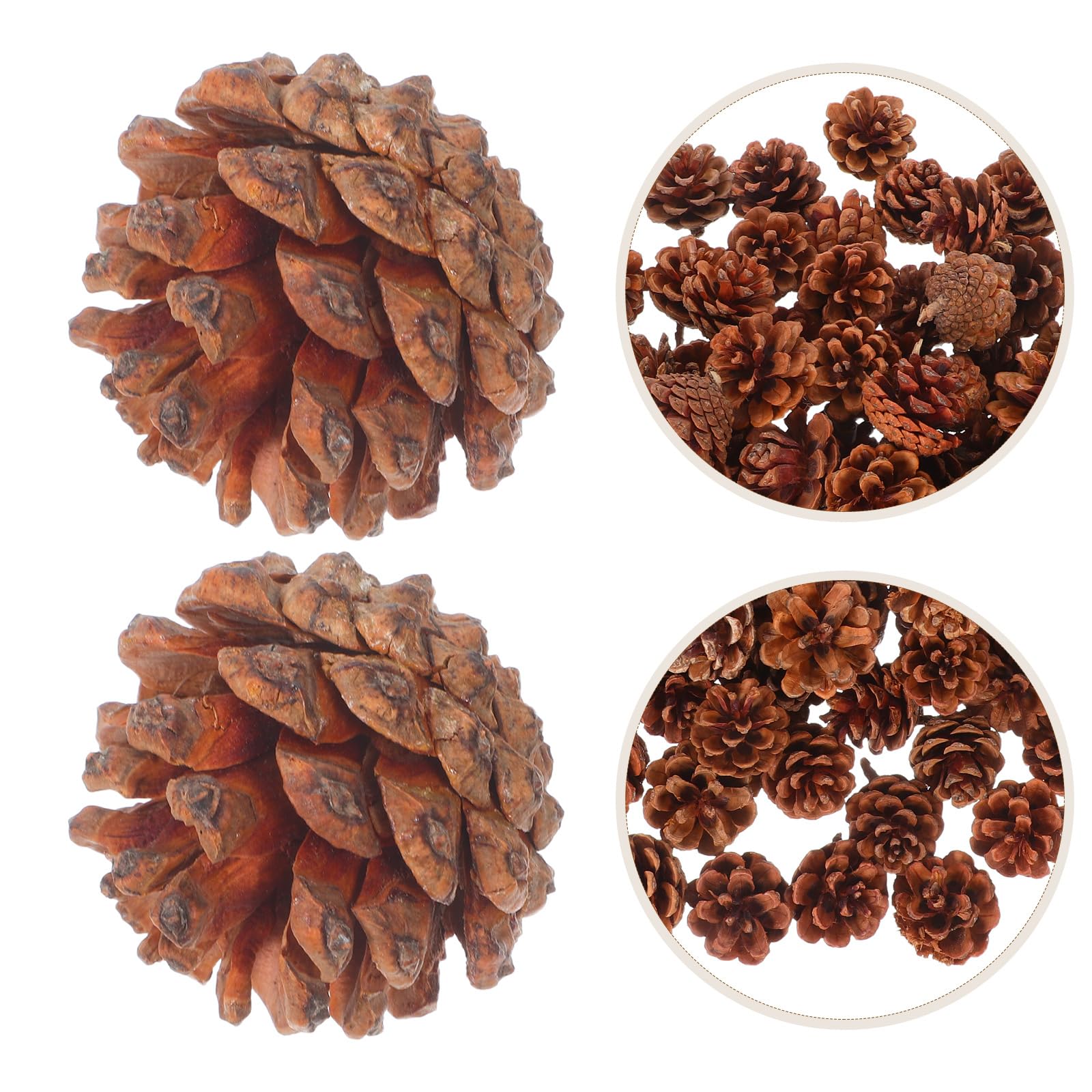Ciieeo 130stücke Mini-Natur-kiefernzapfen für Herbst und Winterdekoration als Vasenfüller für Thanksgiving und Weihnachtsbastelarbeiten für DIY-projekte und Saisonale Dekorationen