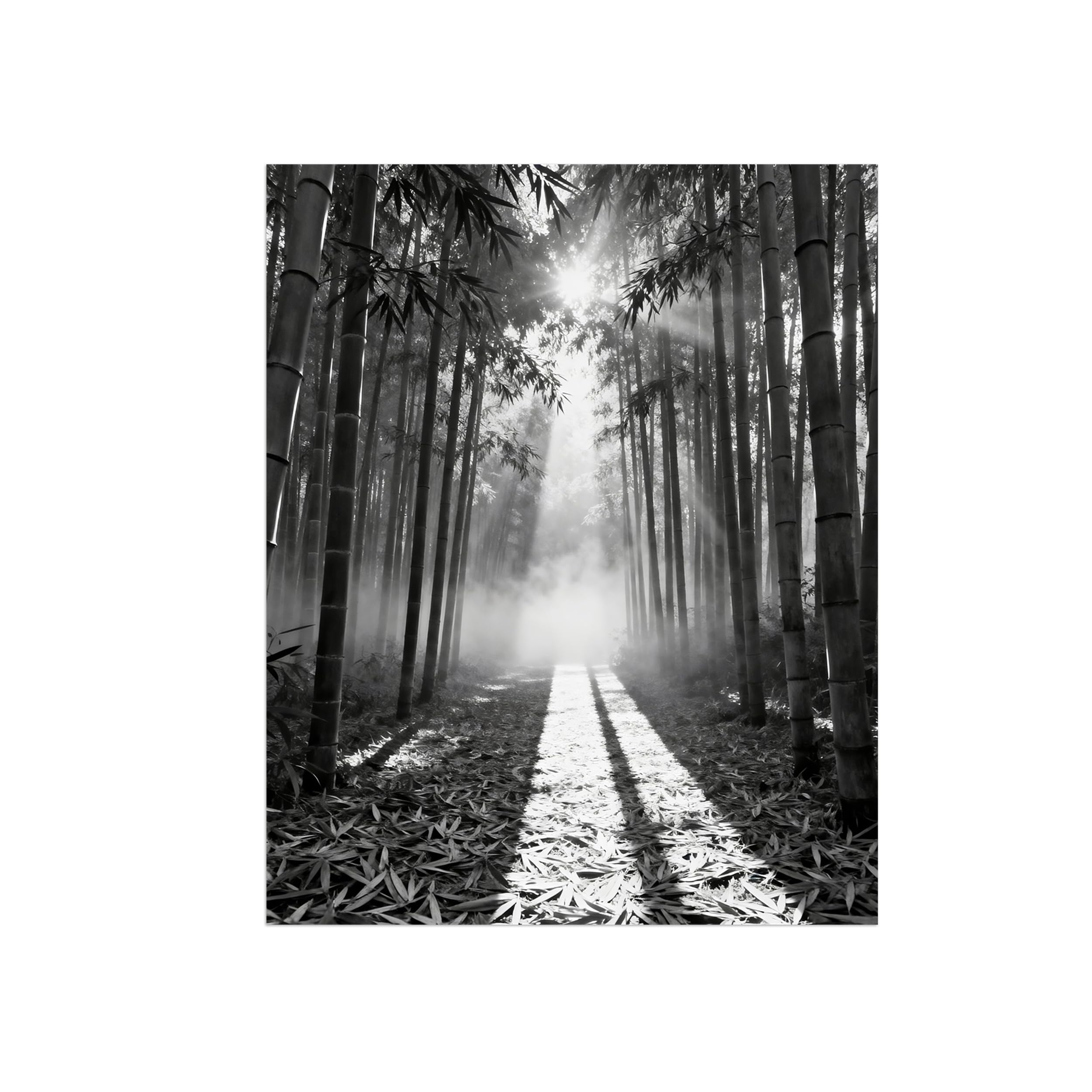 Black White Landscape Wall Art. Forest Sunshine 3. Picture 40x50cm Framed