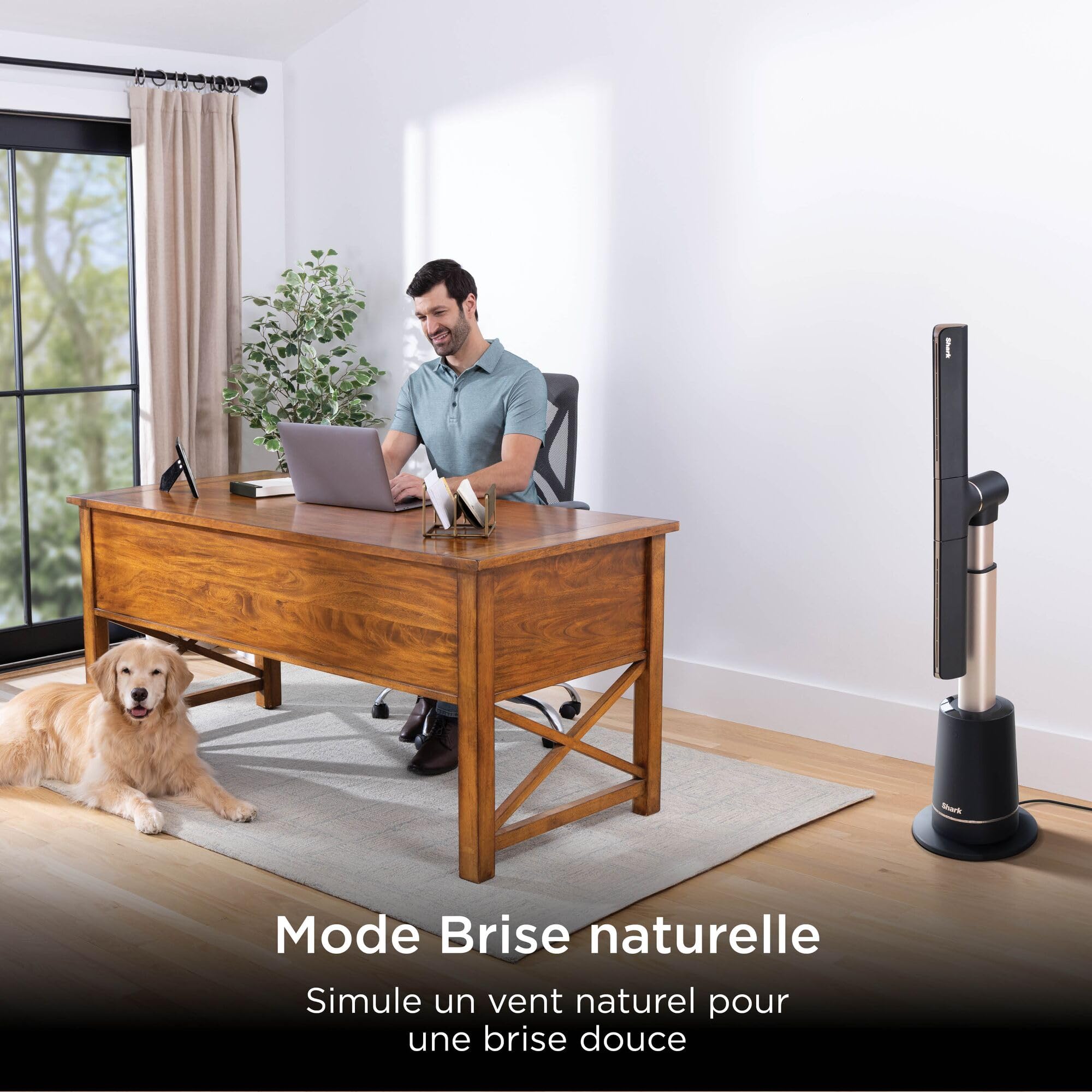 Shark TurboBlade Ventilateur colonne sans pale, rafraîchissement multidirectionnel à haute vitesse jusqu’à 20 mètres, discret, 10 vitesses, 180°, facile à nettoyer, gris anthracite, TF200SEU