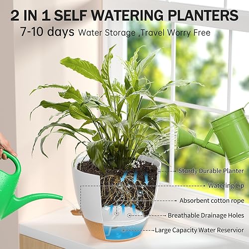 Miniatura 10 de ZMTECH Macetas de riego automático de 91012 pulgadas con borde de riego, macetas con agujeros de drenaje y platillo extraíble, macetas de plástico