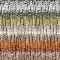 Vista 21 de Noro Silk Garden 203 Daitō