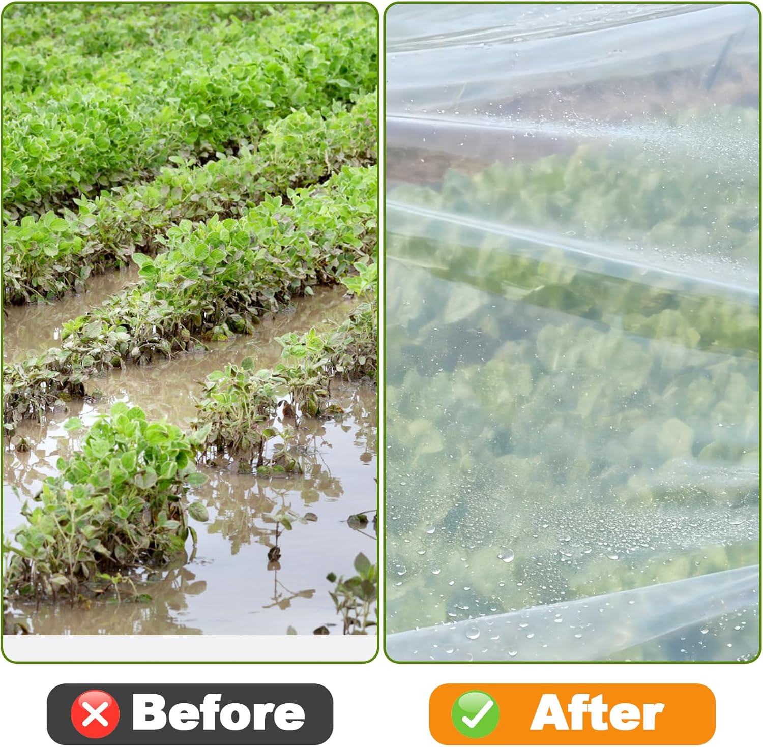 Pumtus 10 x 26 FT Greenhouse Plastic Sheeting, 6 Mil UV Resistant Clear Polyethylene Film, Heavy Duty Anti Drip Frost Wind Dust Resistant Protect Cover, Hoop House Film for Farm Garden Agriculture
