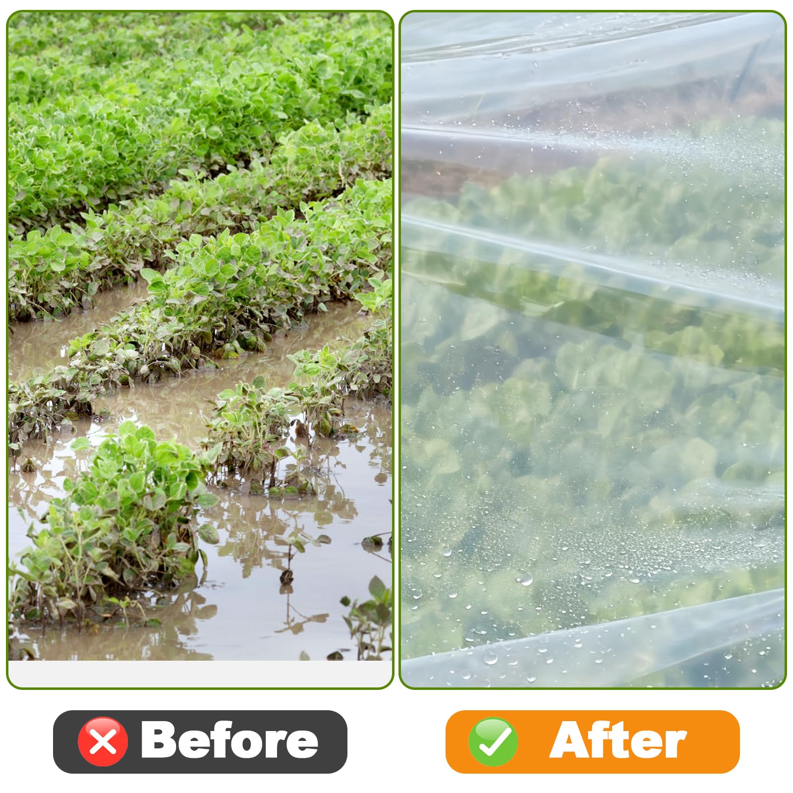 Pumtus Lámina de plástico para invernadero de 10 x 26 pies, película de polietileno transparente resistente a los rayos UV, resistente a los rayos UV, resistente al goteo, heladas, viento y polvo