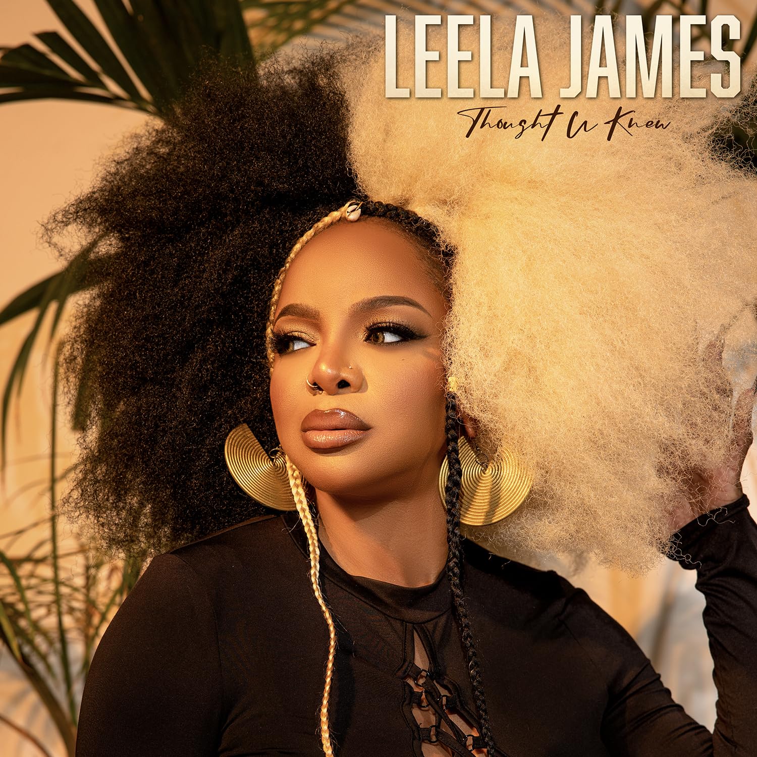Leela James - Thought U Knew (BMG) CD Album