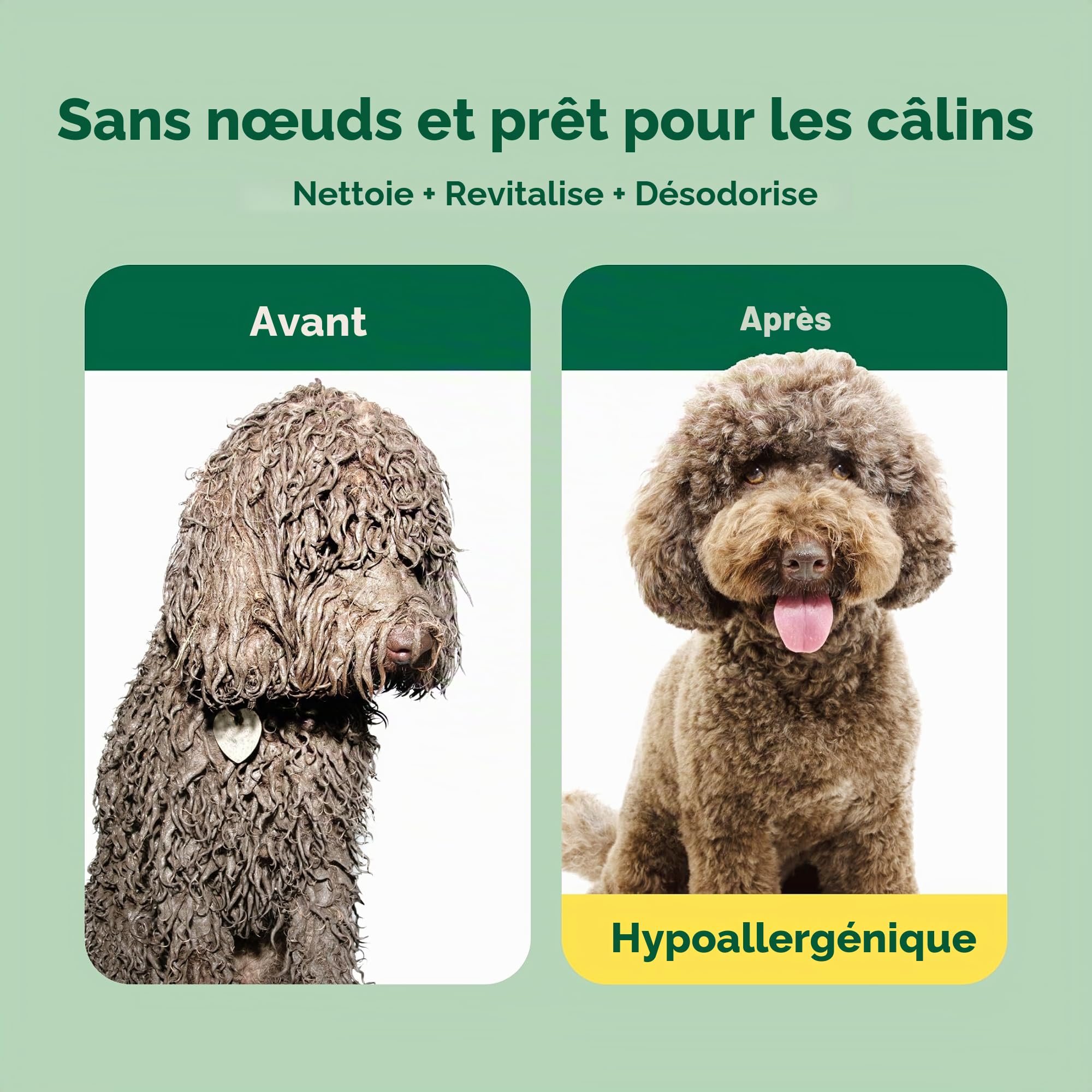 Earth Rated Shampoing et après-shampoing démêlant 3 en 1 pour chien - Shampoing désodorisant à l'avoine pour chiens et chiots - Idéal pour les animaux malodorants - Parfum thé blanc et basilic - 473