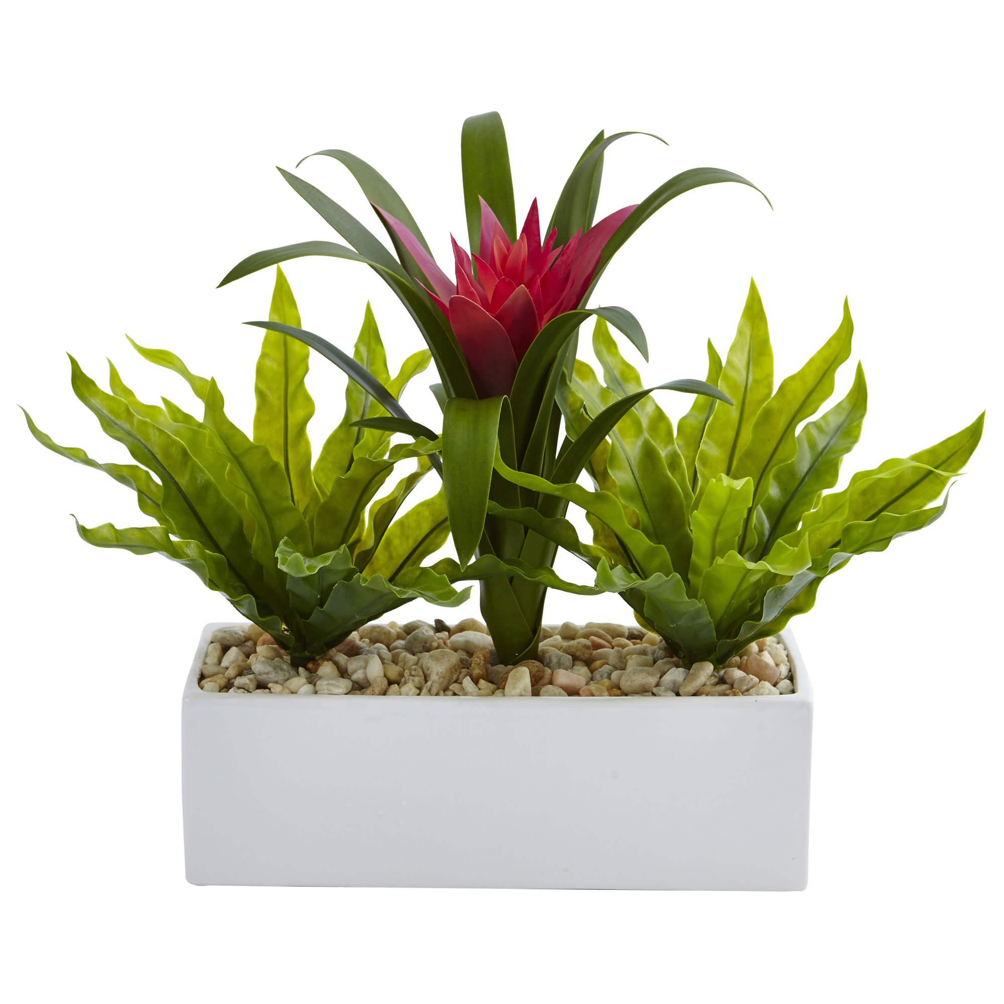 Plante Bromeliad et Birdsnest Presque Naturel pour sublimer un salon ou un bureau