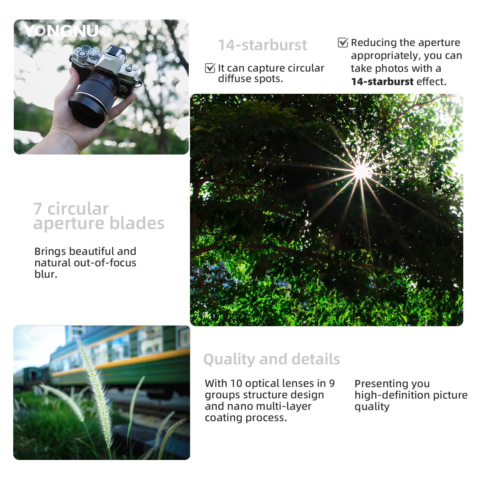 YONGNUO YN17MM F1.7 Prime Objectif pour monture M43, 17 mm F1.7M AF MF | Objectif Prime standard, MFT Micro Four Thirds pour appareils photo sans miroir