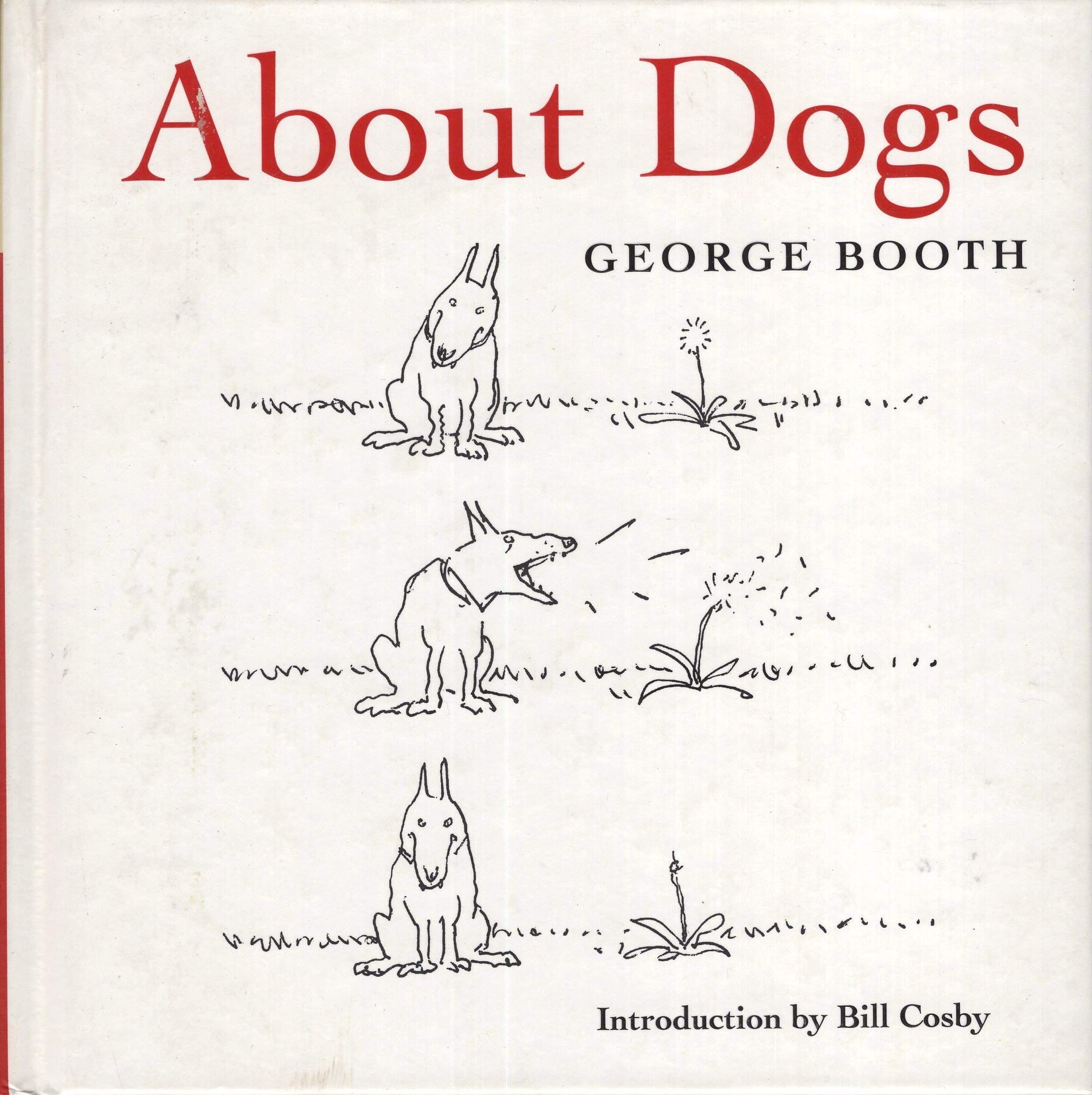 About Dogs