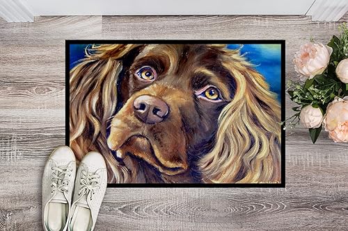 Miniatura 2 de Tesoros de la Caroline 7402jmat Boykin Spaniel para interiores o exteriores Mat, 24" H x 36" W, multicolor