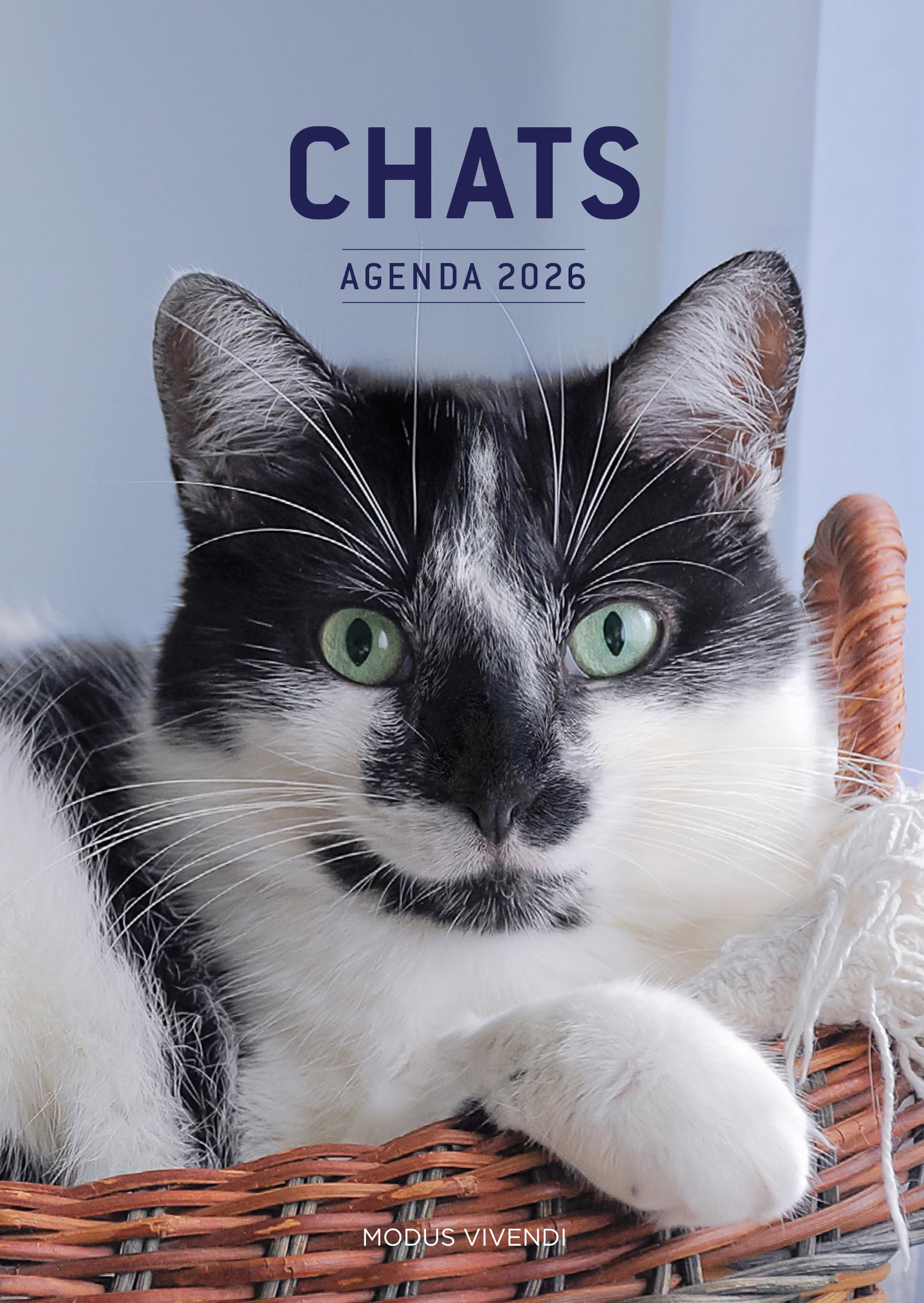 Chats - Agenda 2026