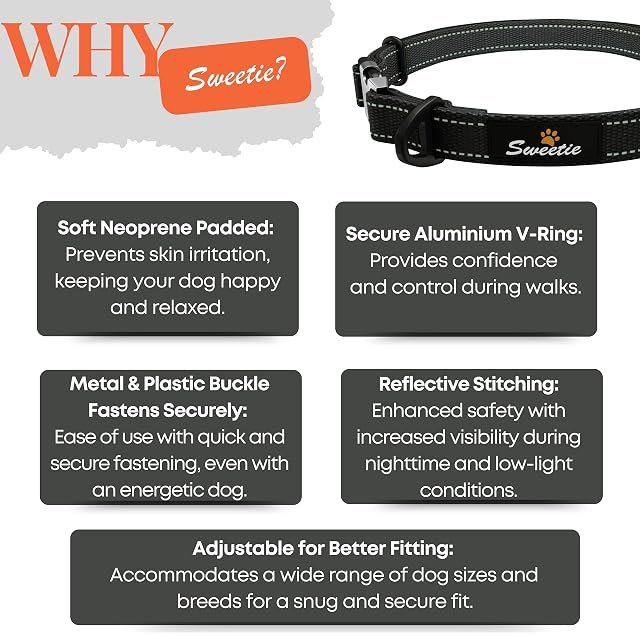 Foto 6 de 8 de Sweetie Collar para Perros Acolchado Neopreno - Reflectante, Anillo Aluminio Anti-Óxido, Antitirones