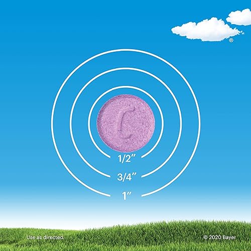 Miniatura 9 de Claritin Masticables para alergias durante 24 horas para niños, alivio de alergias sin somnolencia, 30 unidades