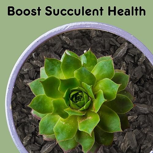 Miniatura 7 de Carbón hortícola para plantas de interior (8 cuartos de galón), aditivo para suelos de madera dura para orquídeas, terrarios y jardinería