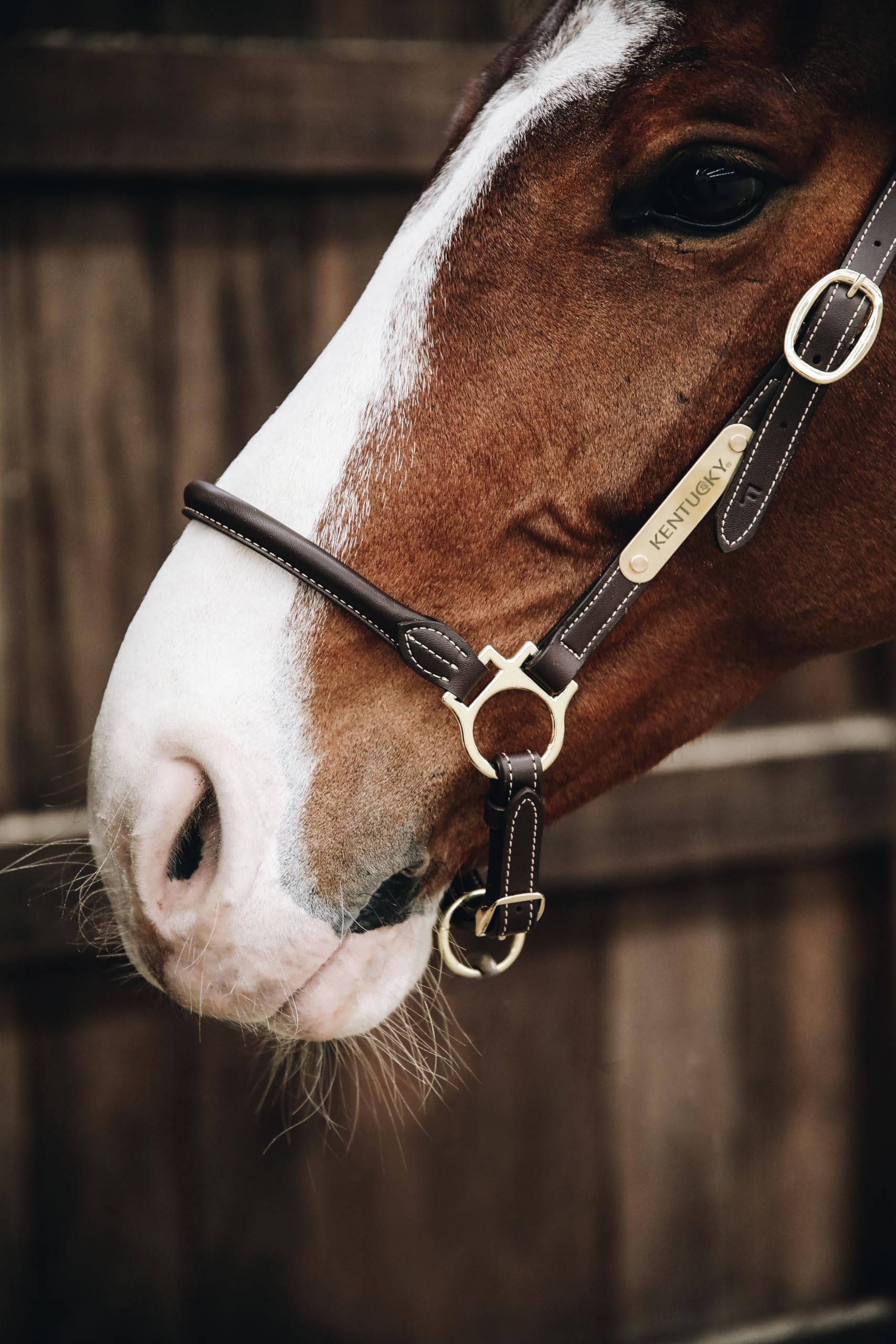 Cabezada de Cuero para Caballos Kentucky