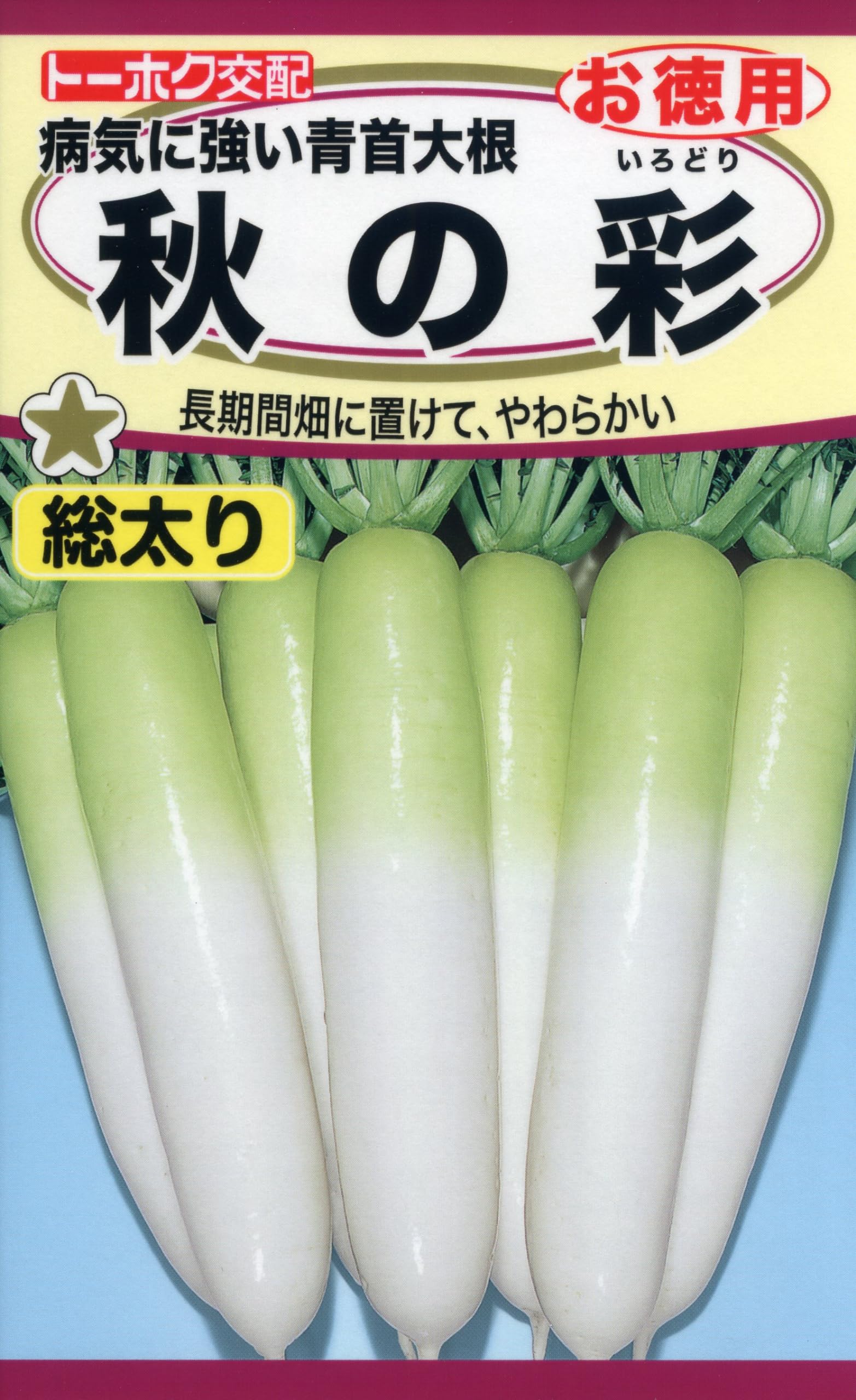 Amazon | 株式会社トーホク 病気に強い青首大根 秋の彩（徳用） 05827