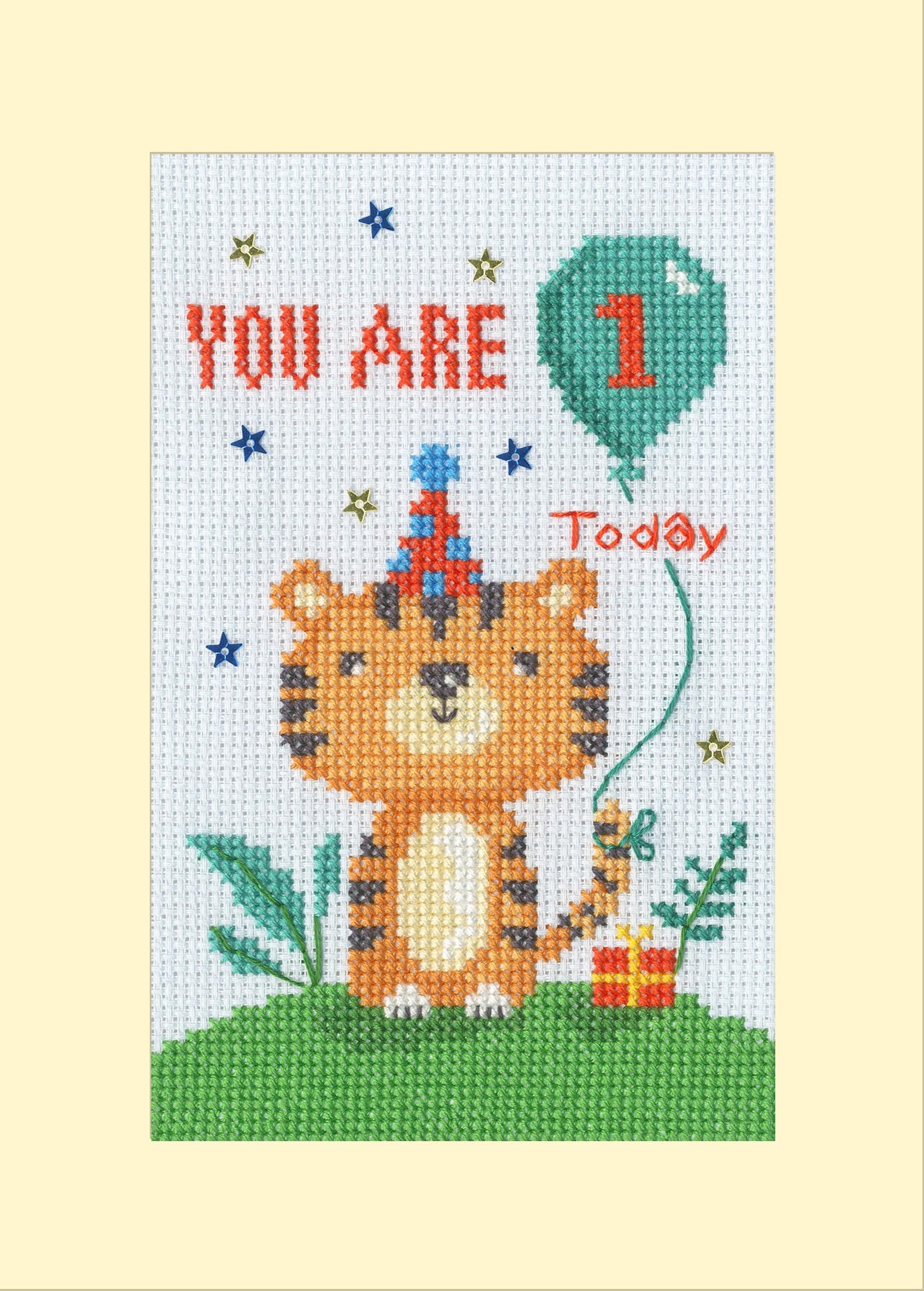 Bothy Threads Counted Cross Stitch Kit - Wild Birthday