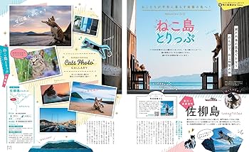 にゃっぷるさま専用 にゃっぷる vol.4 (昭文社ムック) | 昭文社 旅行ガイドブック