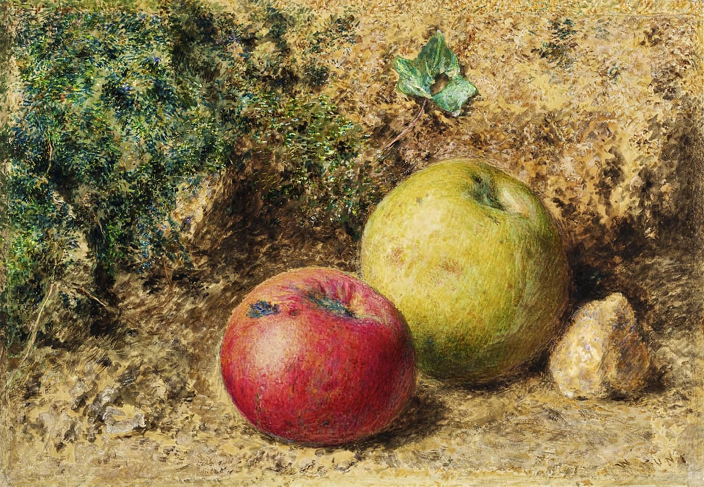 HRJUBWREE Vintage Poster Photo Wall Print Mural Artwork the Contrast Red and Green fruit by William Henry Hunt Art Prints Painting for Home Decor 60x90cm