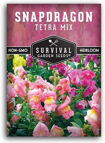 Miniatura 8 de Survival Garden Seeds - Semillas de mezcla de tetra Snapdragon para plantar - 2 paquetes con instrucciones para plantar y cultivar hermosas flores