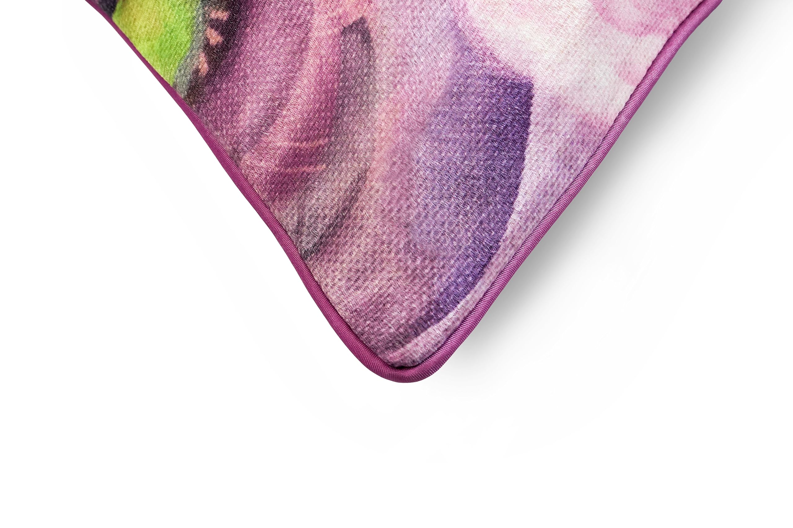 Juego de 2 Cojines 30x50cm 100% Poliéster para Sofa con Relleno Incluido Extra Suave al Tacto, Cojines Terciopelo Estampado Decorativo Hogar - Flor Lisianto