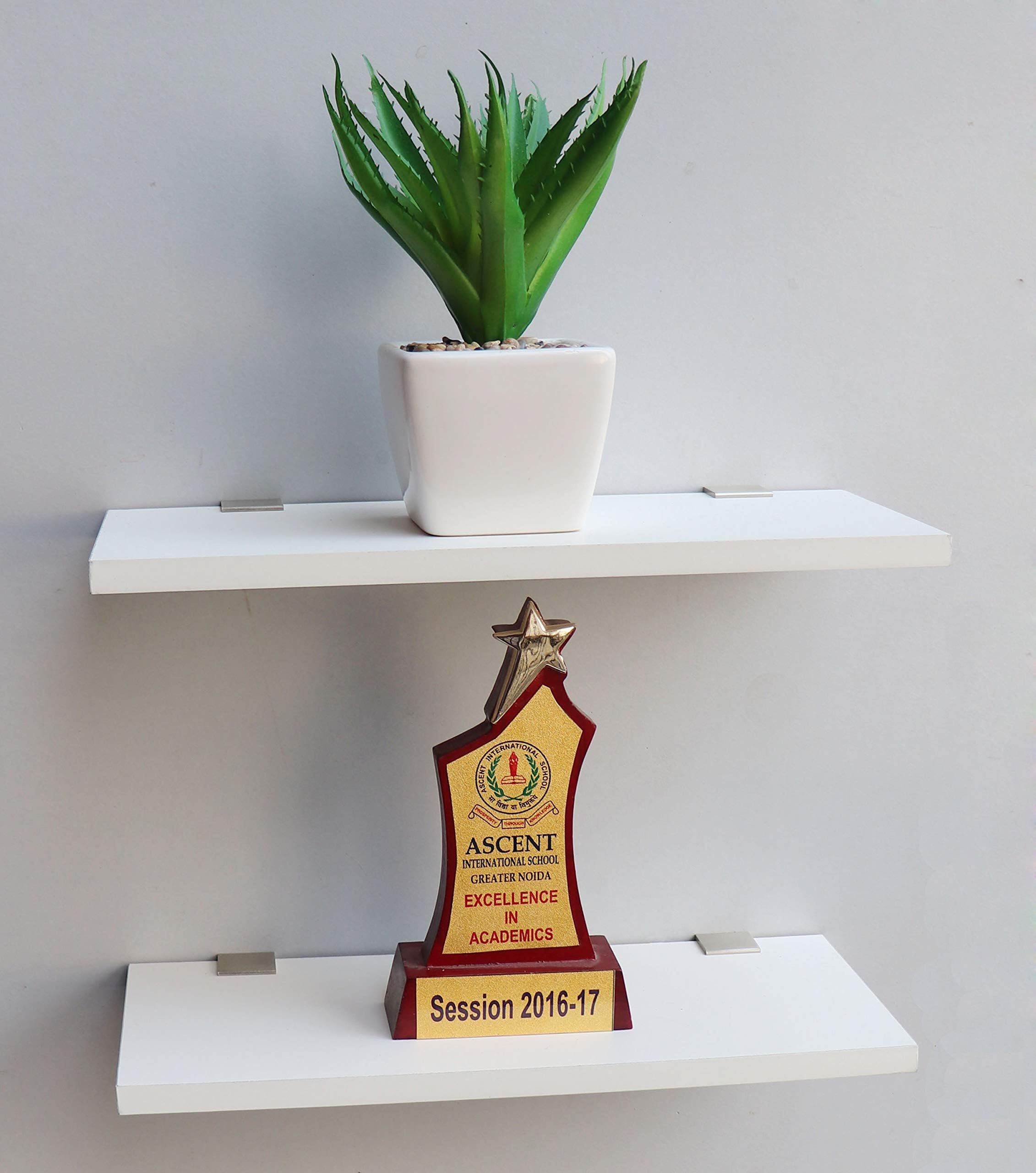 Wooden Wall Mounted Display Shelf 2 Tier (12x30 CM,) Living Room Kitchen Storage Bedroom Showpiece Racks Study Designer Organiser (WHITE)