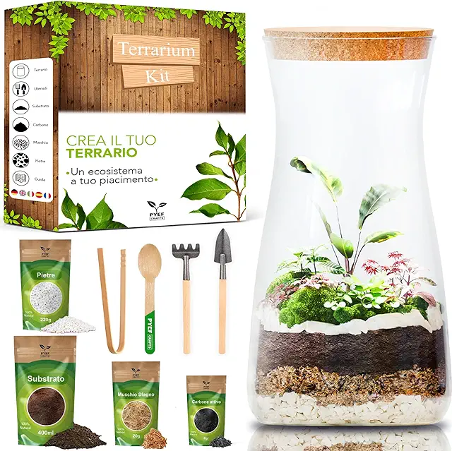 Kit Terrario DIY per Ecosistema Autosufficiente - Giardino in Bottiglia Vetro