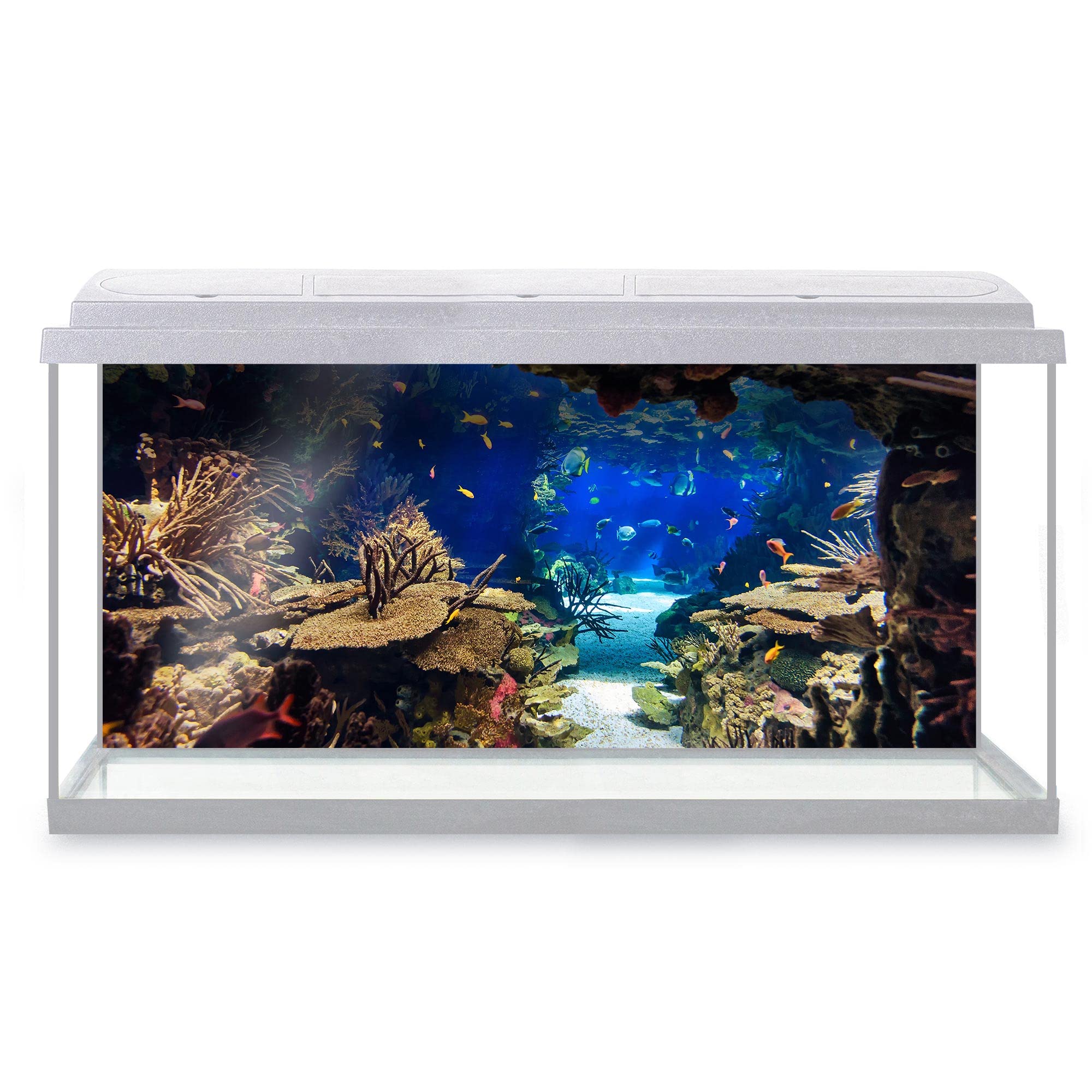DV DESIGN Aquarium Fish Tank Background 123x54 cm - Aquarium Plants Tropical Colorful Fishes Coral Reef Underwater Deep Sea Animal Static Cling Vinyl Vivarium Terrarium External Application #500003