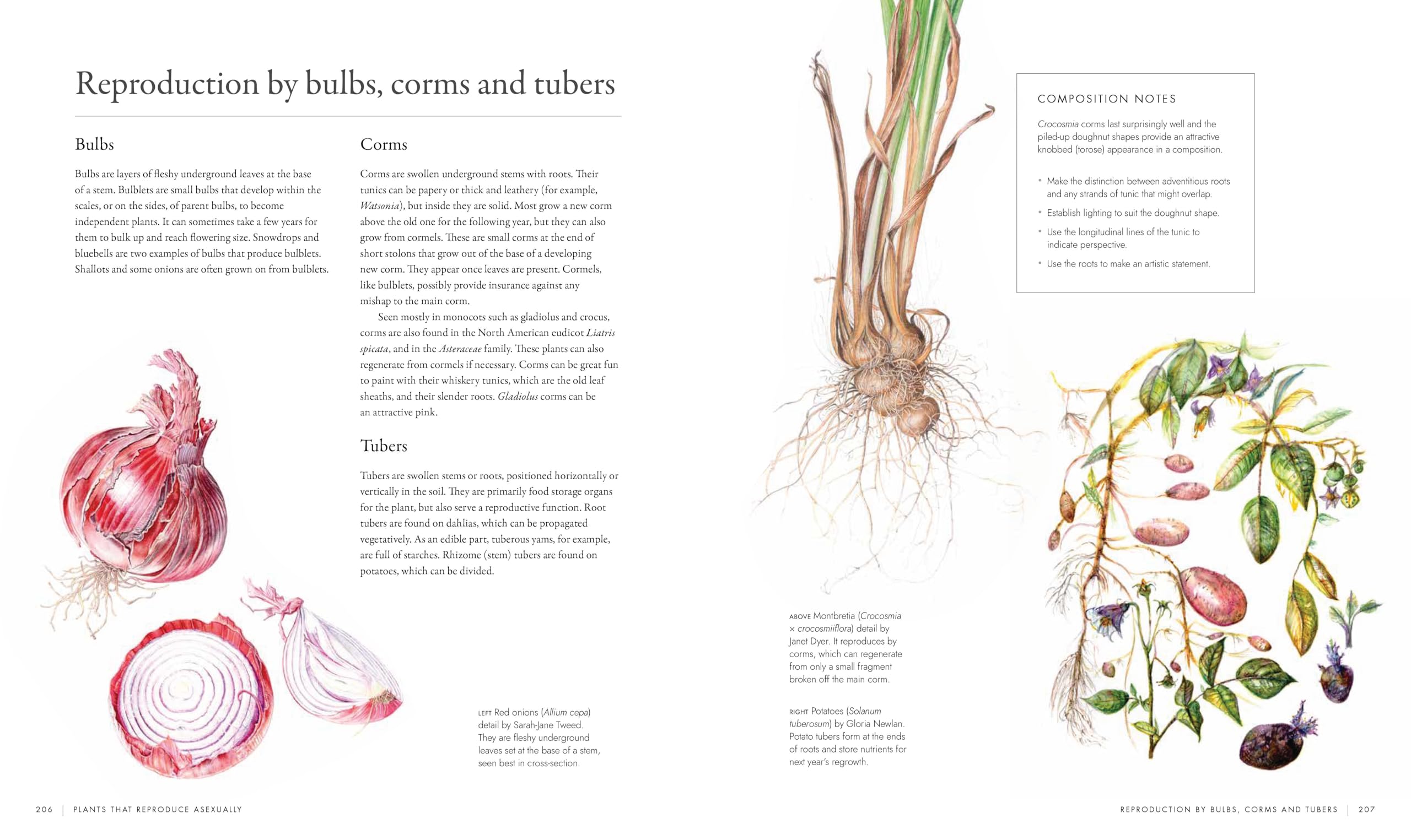 RHS Watercolour Botanical Art: A Practical Guide for Artists