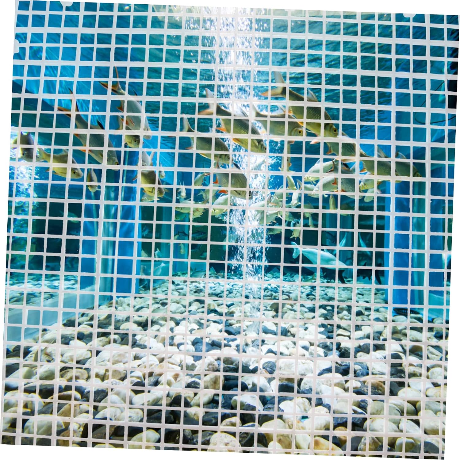 1set Fish Tank Isolation Panel Divider for Mixed Breeding Aquarium Grid Easy to Install Includes Cups and Zip Ties Safe for Fish Growth Environment