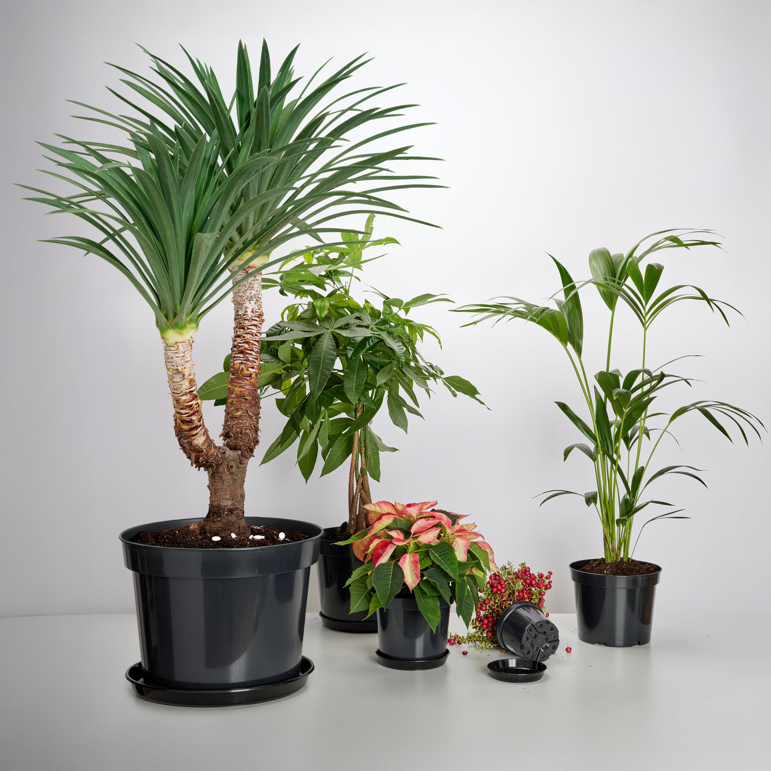 Garronda Vasi per Piante Rotondi in Plastica da Esterno e da Interno per Fiori e Giardini GD-0025 (10 Pezzi - Neri, ⌀ 32,7 cm H 26 cm